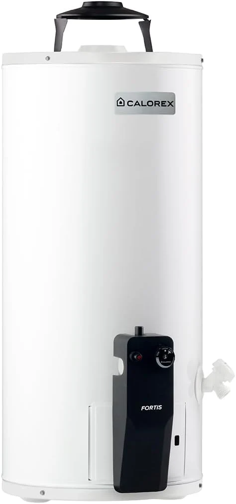 CALENTADOR BOILER DEPOSITO CALOREX FORTIS G-10 GAS LP - Image 3