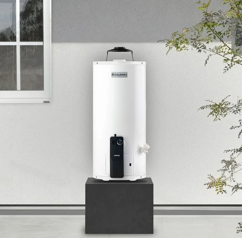 CALENTADOR BOILER DEPOSITO CALOREX FORTIS G-10 GAS NATURAL - Image 4