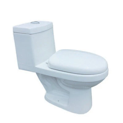 WC ONE PIECE (PBK88) BELLAGIO BLANCO ECOLOGICO